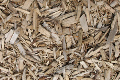 biomass boilers Sharcott